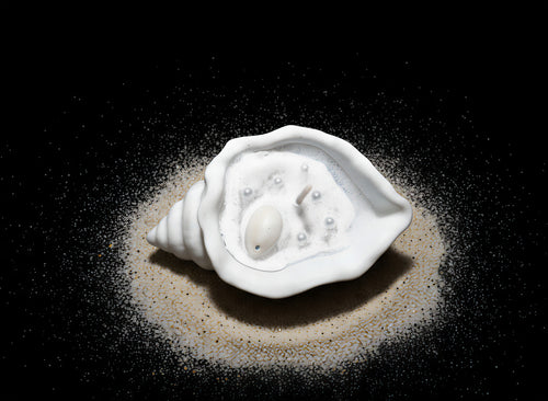 জিপসাম শেল ক্যান্ডেল | Gypsum SeaShell Candle